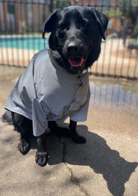 Pet Raincoat