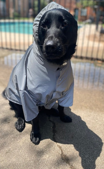 Pet Raincoat