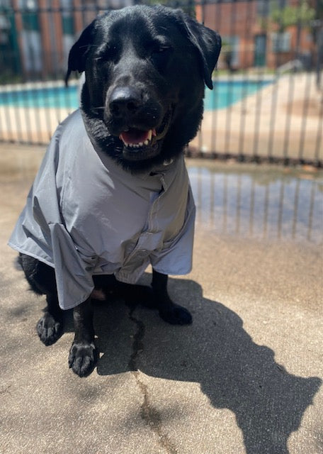 Pet Raincoat